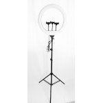 Wholesale 14 inch Selfie Ring Light with 3 Cell Phone Holder, Remote Controller, and 76 inch Tripod Stand for Live Stream, Makeup, YouTube Video, Photography TikTok, & More Compatible with Universal Phone (Black)